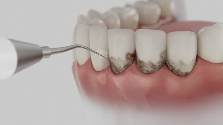 Reliable Dental contractor in Harlem Heights, FL by Dentist Open Now